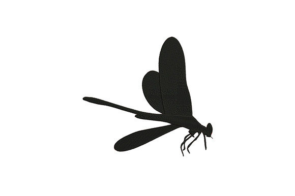 Black Bug Dragonfly: A Designer's Honest Review