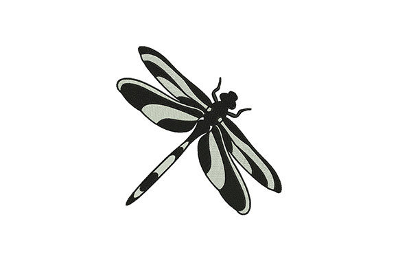 Colore Black Dragonfly: A Designer's Real-World Review